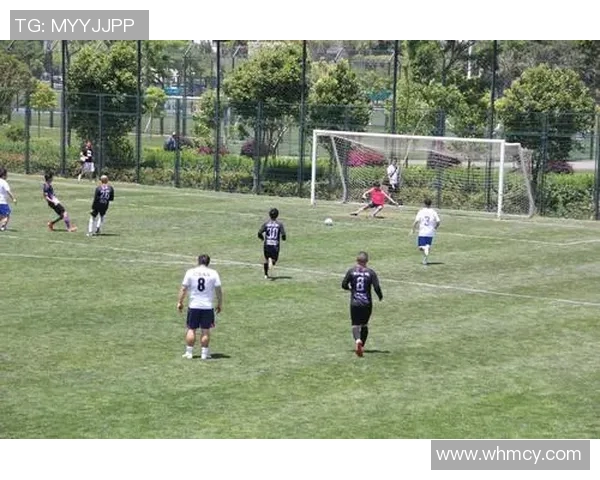 老当益壮的足球明星们如何在赛场上逆袭青春岁月