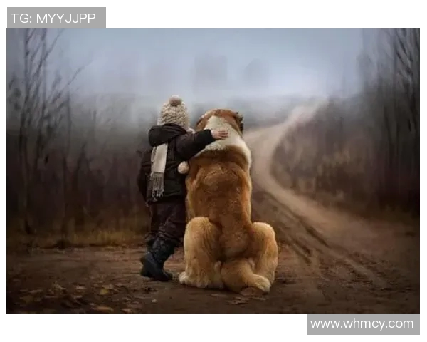 足球明星与豹子亲密合影展现野性魅力与运动精神的完美结合