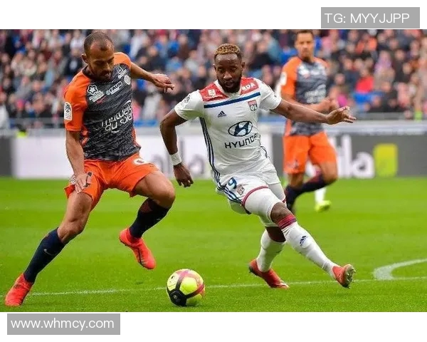 亚布洛与雷恩对决前瞻分析及比赛结果预测详解