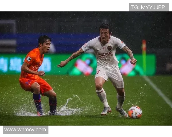 中国足球新篇章新浪体育独家解析国家队备战策略与未来展望